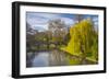 The Backs, River Cam, Cambridge, Cambridgeshire, England, United Kingdom, Europe-Alan Copson-Framed Photographic Print