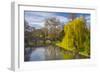 The Backs, River Cam, Cambridge, Cambridgeshire, England, United Kingdom, Europe-Alan Copson-Framed Photographic Print