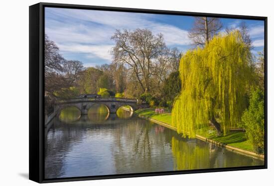 The Backs, River Cam, Cambridge, Cambridgeshire, England, United Kingdom, Europe-Alan Copson-Framed Stretched Canvas