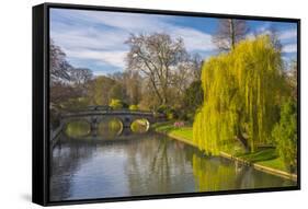 The Backs, River Cam, Cambridge, Cambridgeshire, England, United Kingdom, Europe-Alan Copson-Framed Stretched Canvas