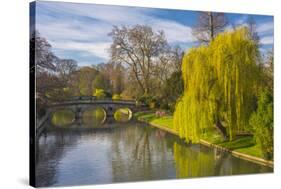 The Backs, River Cam, Cambridge, Cambridgeshire, England, United Kingdom, Europe-Alan Copson-Stretched Canvas