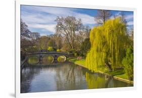 The Backs, River Cam, Cambridge, Cambridgeshire, England, United Kingdom, Europe-Alan Copson-Framed Photographic Print