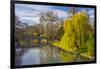 The Backs, River Cam, Cambridge, Cambridgeshire, England, United Kingdom, Europe-Alan Copson-Framed Photographic Print