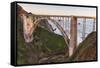 The backside view of Bixby Bridge against the Pacific Ocean-Sheila Haddad-Framed Stretched Canvas