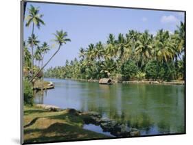 The Backwaters at Chavara, Kerala State, India, Asia-Jenny Pate-Mounted Photographic Print