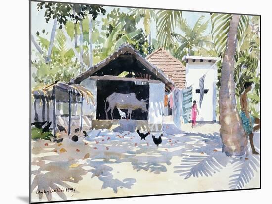 The Backwaters, Kerala, India, 1991-Lucy Willis-Mounted Giclee Print