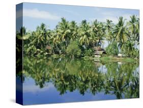 The Backwaters Near Kumarakom, Kerala State, India, Asia-Jenny Pate-Stretched Canvas