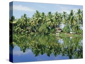 The Backwaters Near Kumarakom, Kerala State, India, Asia-Jenny Pate-Stretched Canvas