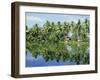 The Backwaters Near Kumarakom, Kerala State, India, Asia-Jenny Pate-Framed Photographic Print