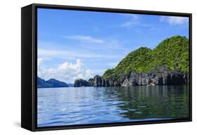 The Bacuit Archipelago, Palawan, Philippines-Michael Runkel-Framed Stretched Canvas