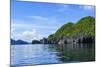 The Bacuit Archipelago, Palawan, Philippines-Michael Runkel-Mounted Photographic Print