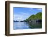 The Bacuit Archipelago, Palawan, Philippines-Michael Runkel-Framed Photographic Print