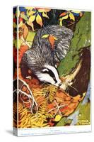 The Badger, from 'The New Natural History', by John Arthur Thompson (1861-1-Warwick Reynolds-Stretched Canvas