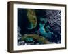 The Bahamas, Florida, and Cuba-Stocktrek Images-Framed Photographic Print