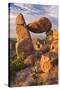 The Balanced Rock-Michael Blanchette Photography-Stretched Canvas