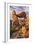 The Balanced Rock-Michael Blanchette Photography-Framed Giclee Print