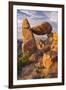 The Balanced Rock-Michael Blanchette Photography-Framed Giclee Print