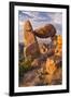 The Balanced Rock-Michael Blanchette Photography-Framed Giclee Print