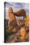 The Balanced Rock-Michael Blanchette Photography-Stretched Canvas