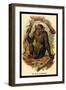 The Bald Chimpanzee-G.r. Waterhouse-Framed Art Print