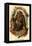 The Bald Chimpanzee-G.r. Waterhouse-Framed Stretched Canvas