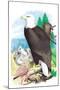 The Bald Eagle-Theodore Jasper-Mounted Art Print
