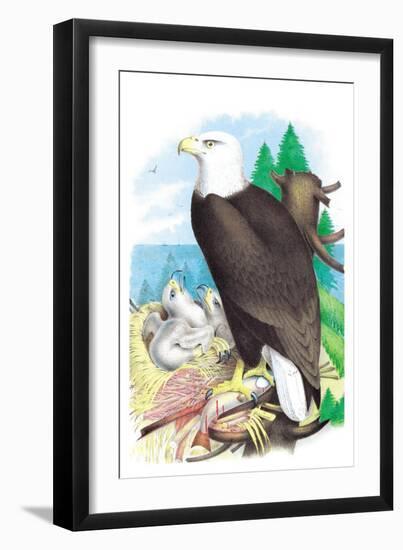 The Bald Eagle-Theodore Jasper-Framed Art Print