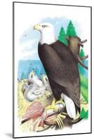 The Bald Eagle-Theodore Jasper-Mounted Art Print