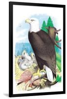 The Bald Eagle-Theodore Jasper-Framed Art Print