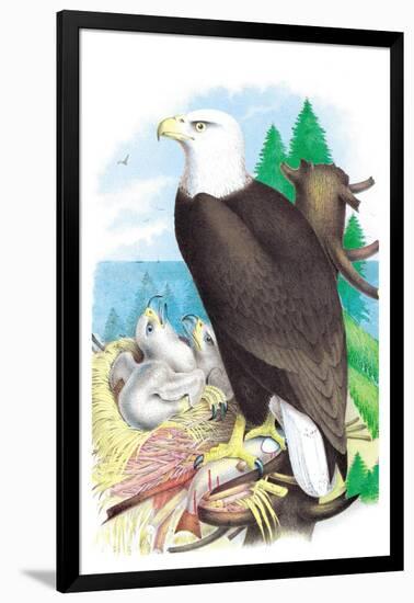 The Bald Eagle-Theodore Jasper-Framed Art Print