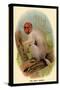 The Bald Uakari-G.r. Waterhouse-Stretched Canvas