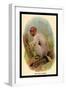 The Bald Uakari-G.r. Waterhouse-Framed Art Print