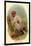 The Bald Uakari-G.r. Waterhouse-Mounted Art Print