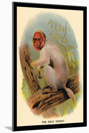 The Bald Uakari-G.r. Waterhouse-Mounted Art Print