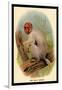 The Bald Uakari-G.r. Waterhouse-Framed Art Print