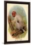 The Bald Uakari-G.r. Waterhouse-Framed Art Print