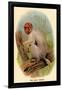 The Bald Uakari-G.r. Waterhouse-Framed Art Print