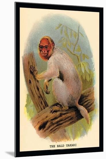 The Bald Uakari-G.r. Waterhouse-Mounted Art Print