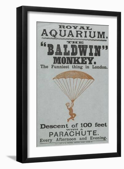 The Baldwin" Monkey"-null-Framed Giclee Print