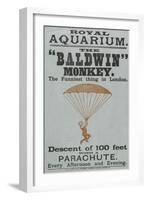 The Baldwin" Monkey"-null-Framed Giclee Print