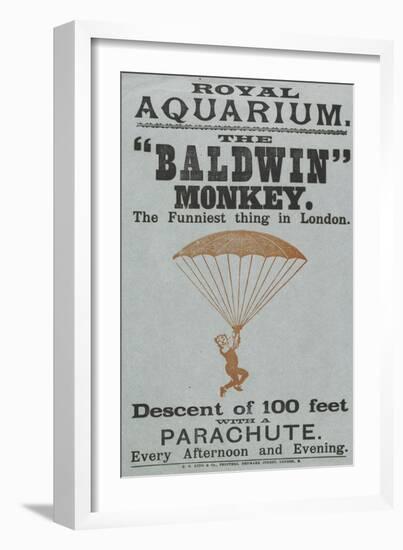 The Baldwin" Monkey"-null-Framed Giclee Print