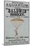 The Baldwin" Monkey"-null-Mounted Giclee Print