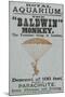 The Baldwin" Monkey"-null-Mounted Giclee Print