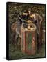 The Baleful Head, Illustration from William Morris' 'The Earthly Paradise'-Edward Burne-Jones-Framed Stretched Canvas