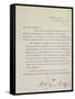 The Balfour Declaration-null-Framed Stretched Canvas