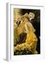 The ball. Around 1878, 90 x 50 cm R. F. 22 53.-James Tissot-Framed Giclee Print