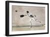 The Ball Game-null-Framed Giclee Print