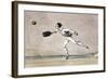 The Ball Game-null-Framed Giclee Print