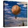 The Balloon, 1878-Paul von Szinyei-Merse-Stretched Canvas