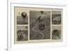 The Balloon Contest, Sketches from Number Two-William Lionel Wyllie-Framed Giclee Print